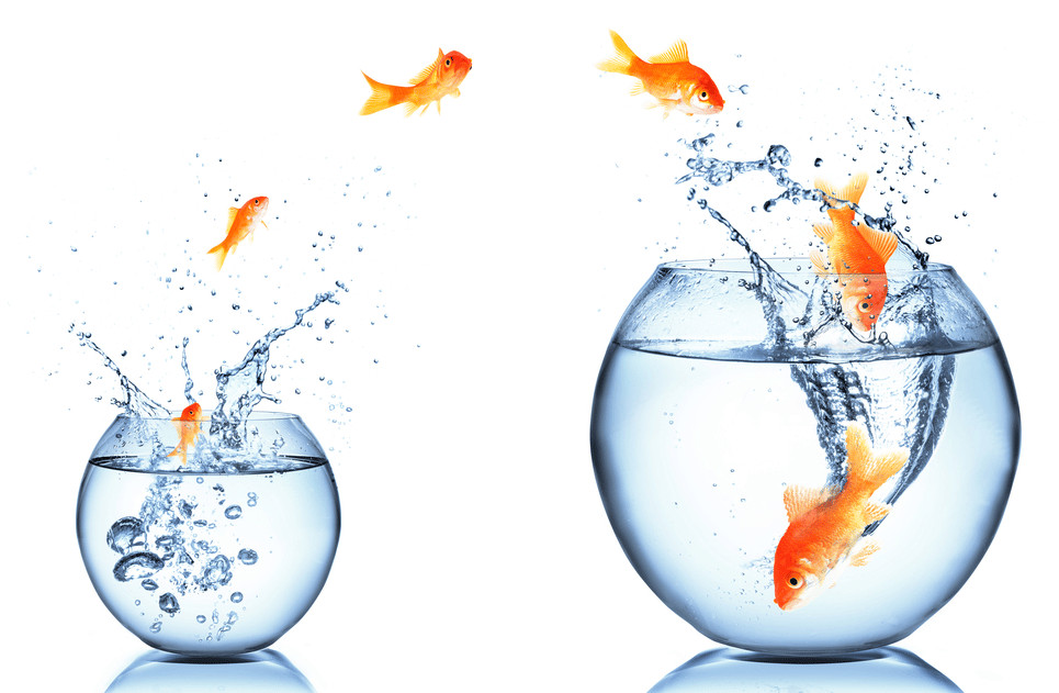 a gold fish jumping from a fish bowl
