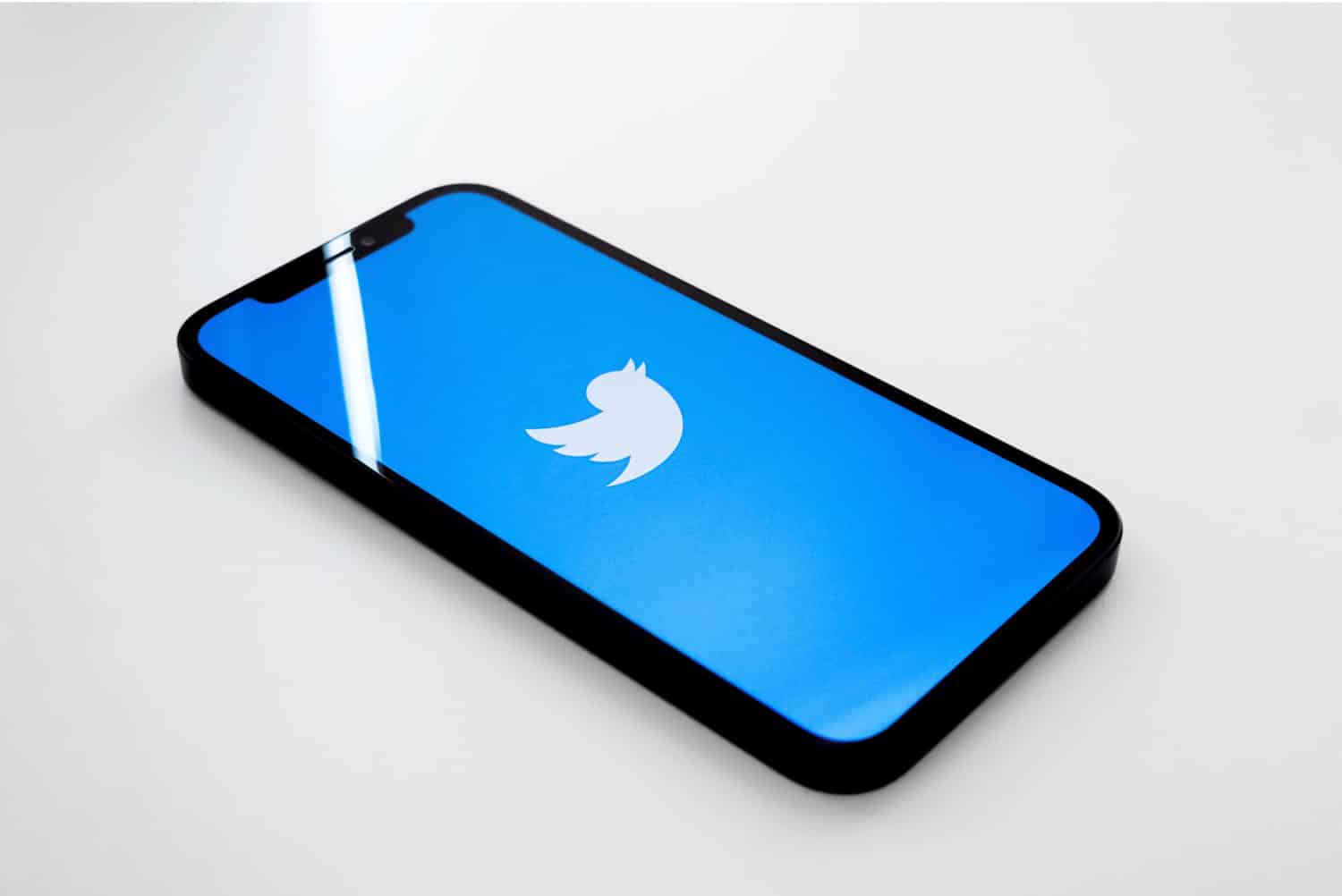 Twitter Logo In Mobile Phone