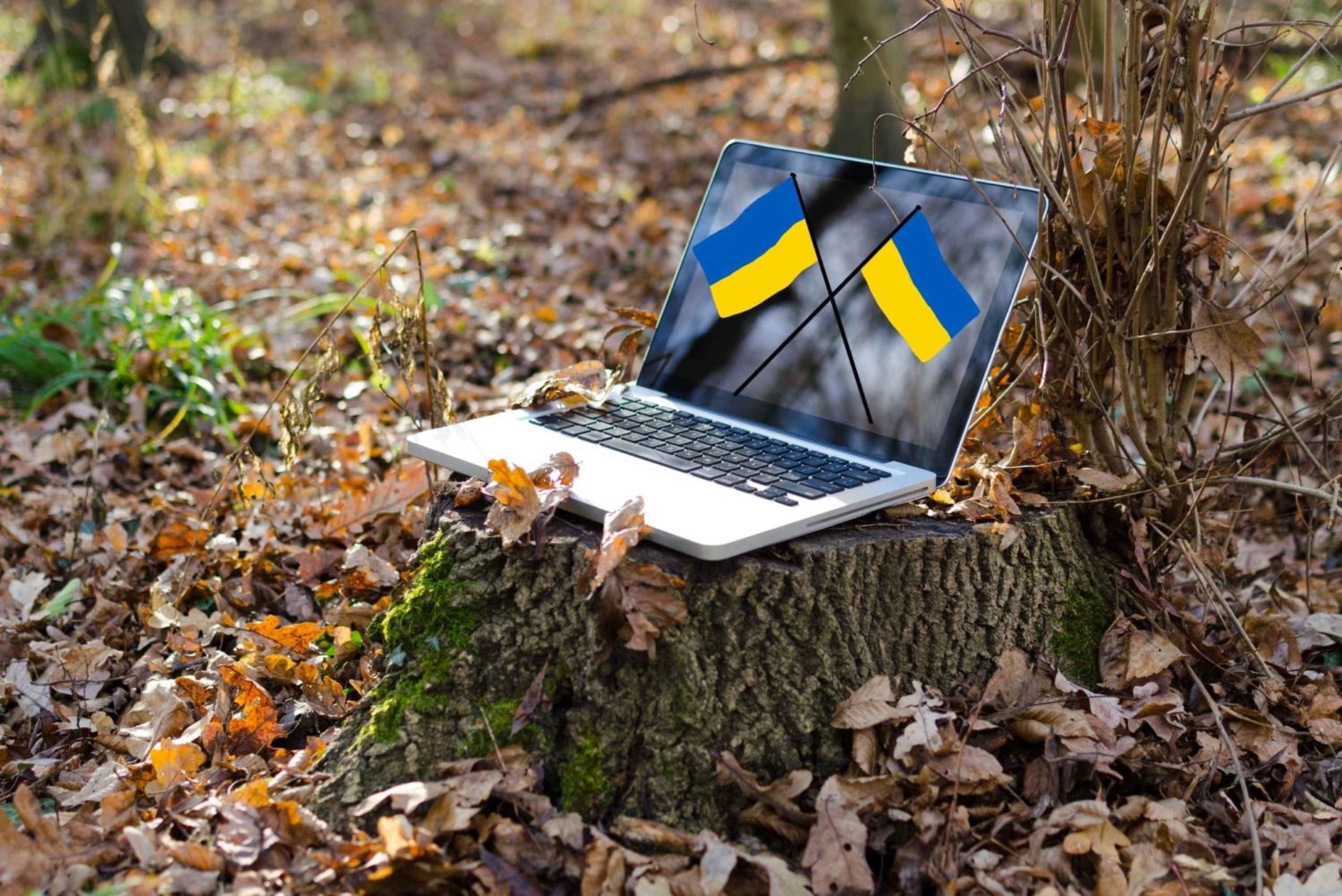 Ukrainians Are Still Doing These Online Jobs