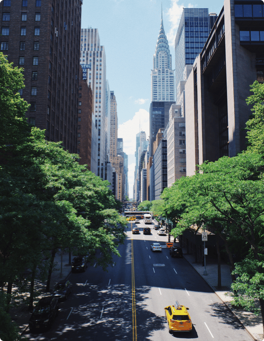 a street with trees and tall buildings