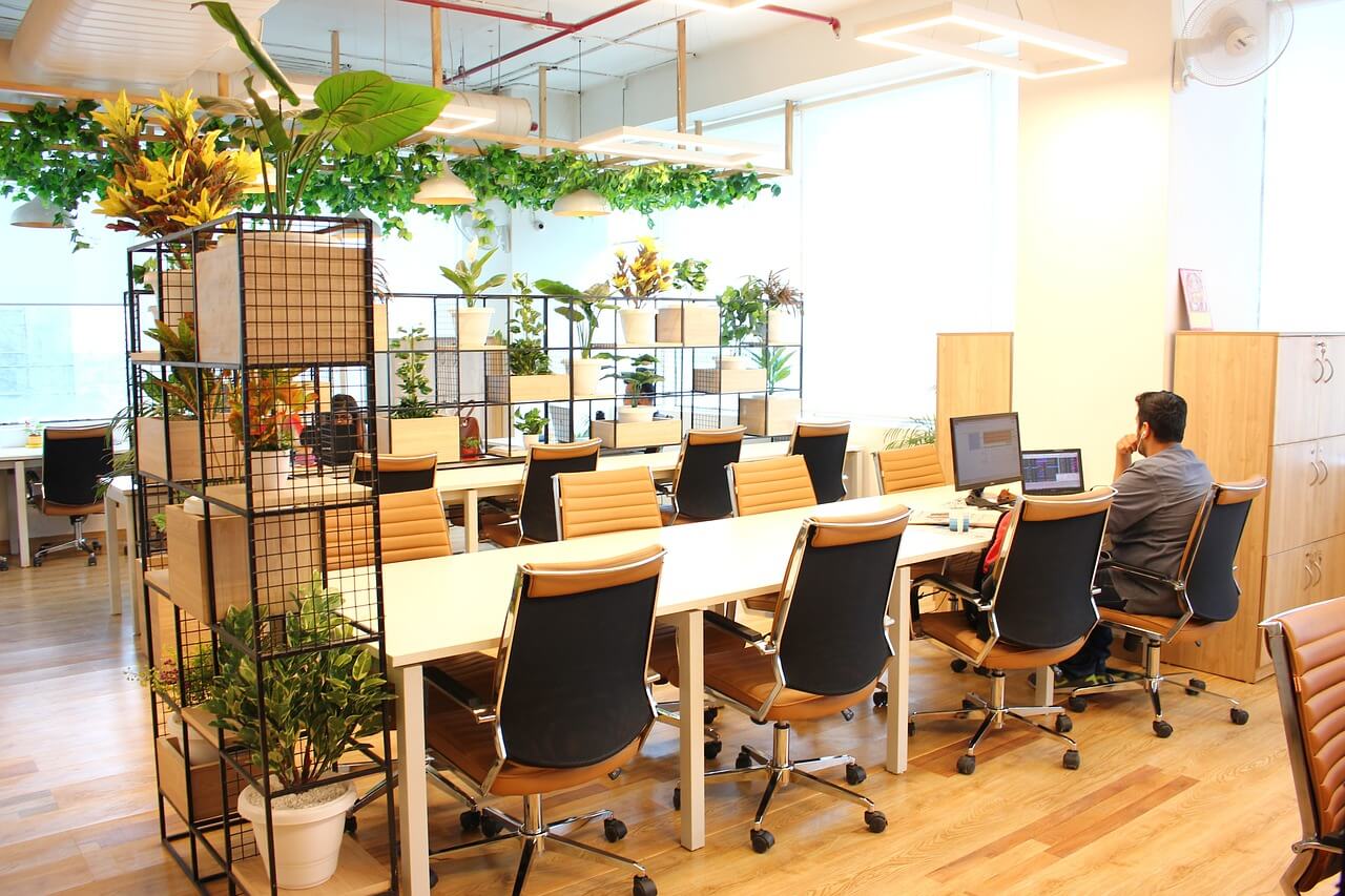 photograph of professionals in a shared workspace surrounded by potted plants