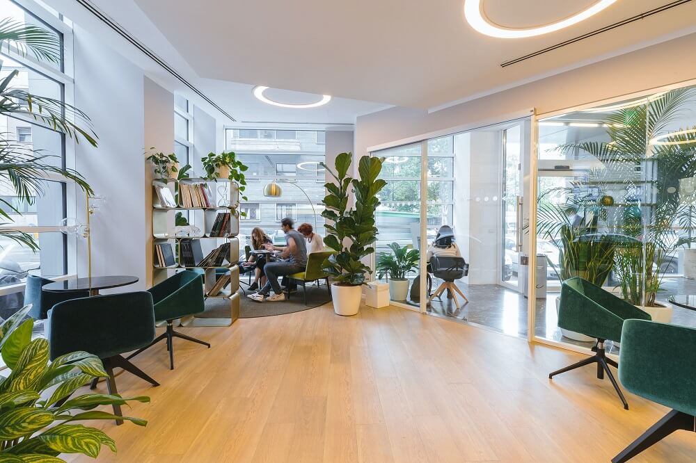 photograph of an attractive open-plan office workspace with lots of plants in pots