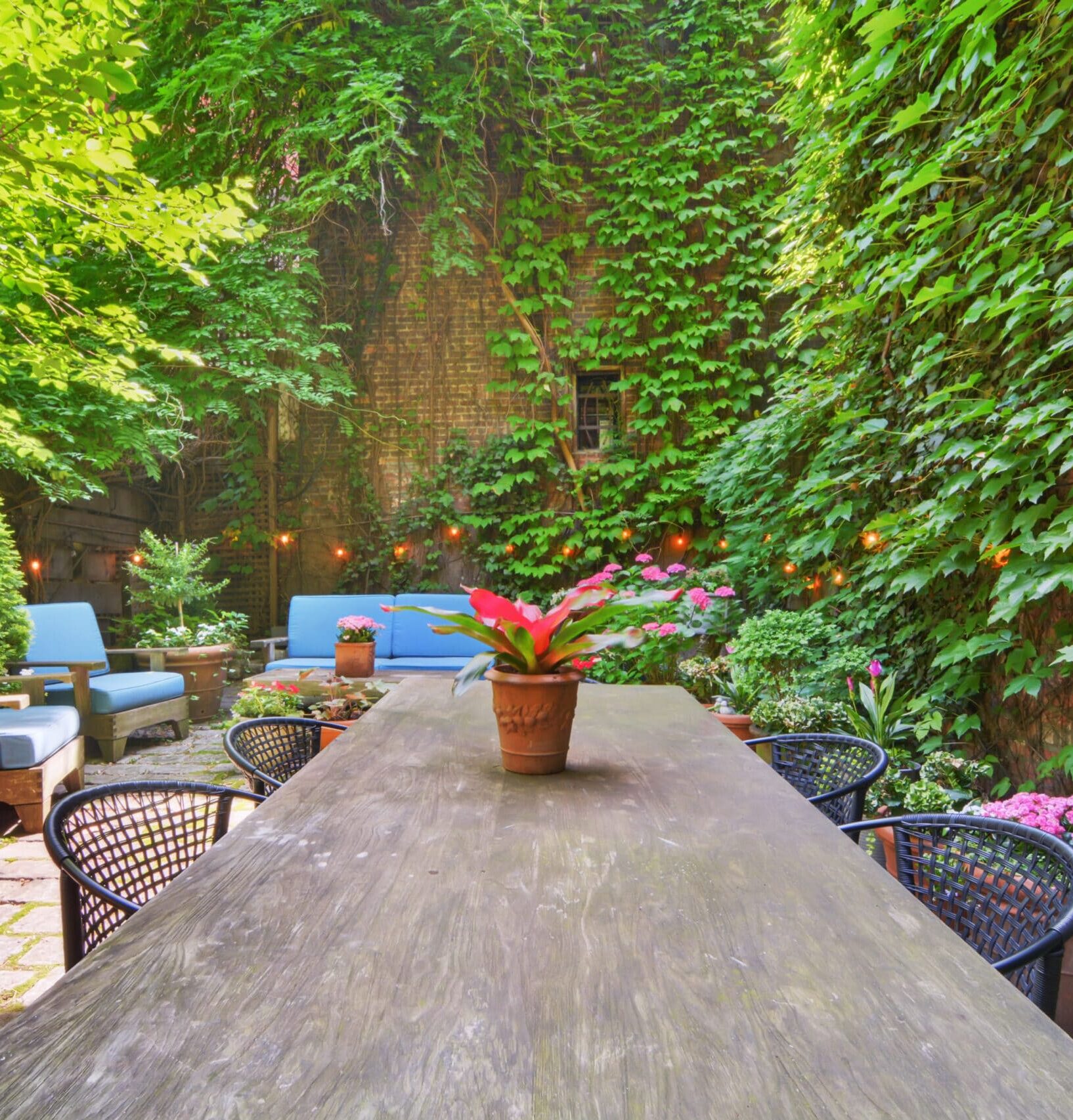 A serene backyard patio enveloped by vibrant greenery, creating a tranquil outdoor space for gatherings.